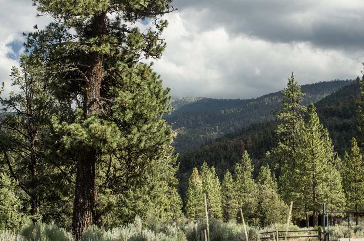 Pine Mountain Club, CA